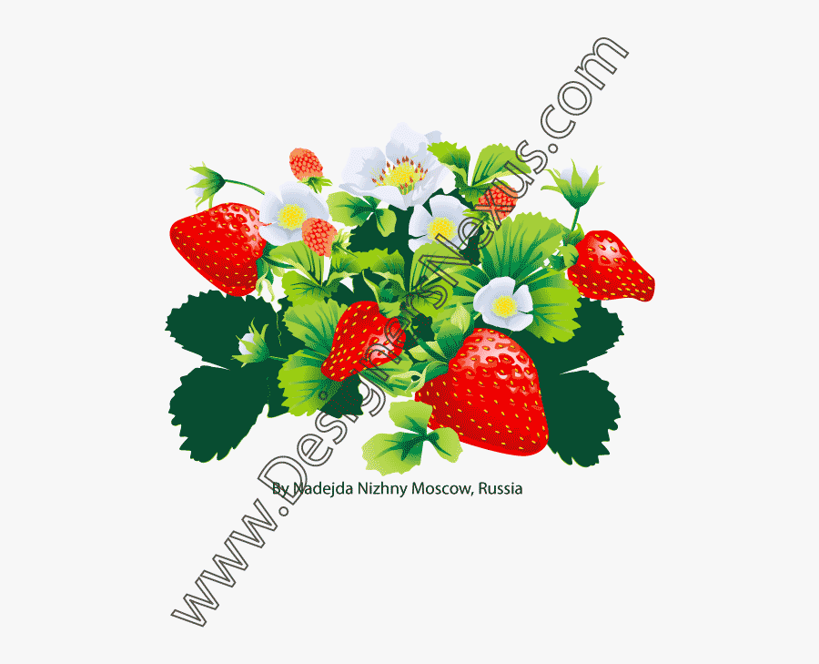 Grape Vine Clipart Etc Image - Fashion Illustration, Transparent Clipart