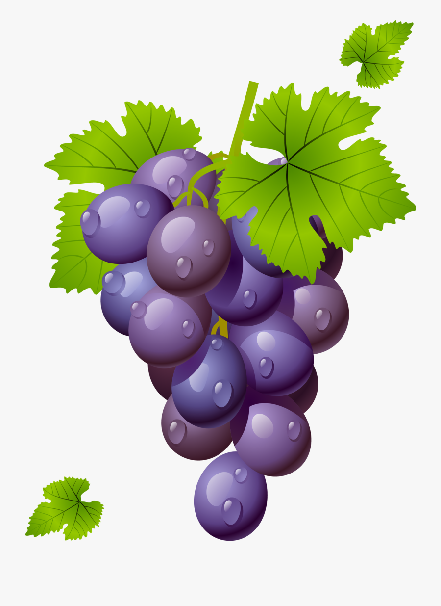 Grapes Vine Clipart Free Images - Grape Clipart Png, Transparent Clipart