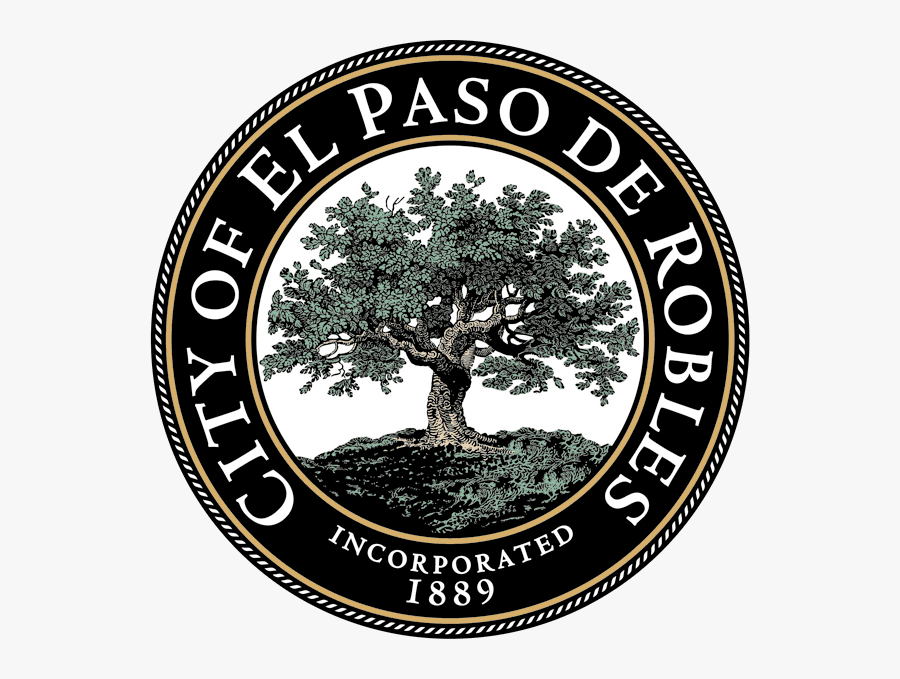 Celebrate Cinco De Mayo Responsibly - Paso Robles Oak Tree, Transparent Clipart