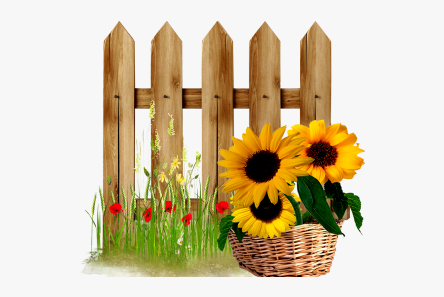Garden Pinterest Fences Sunflowers - Fence Design Clip Art, Transparent Clipart