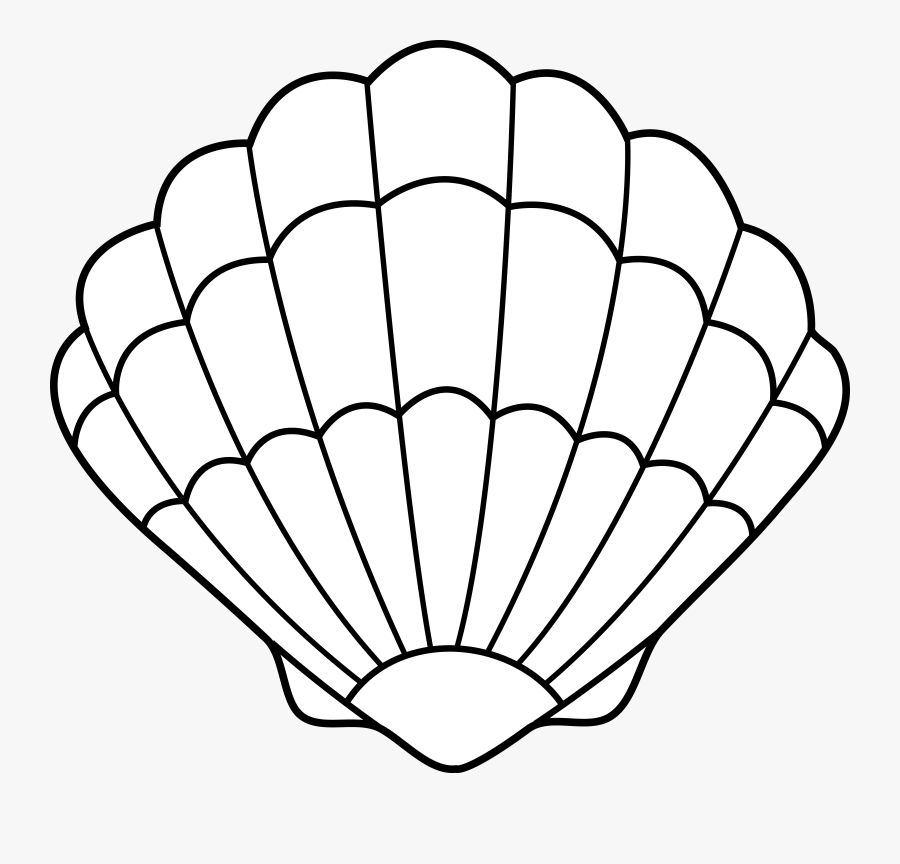 Seashell Lineart Free Clip - Seashell Clipart Black And White, Transparent Clipart