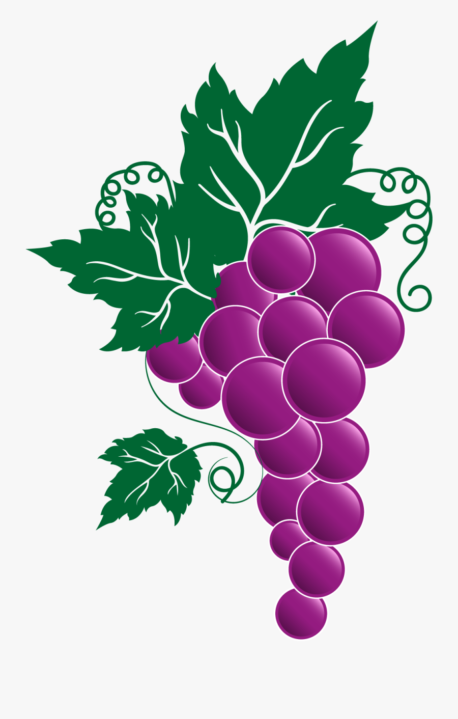 Grape Png Transparent Free Images - Clipart Transparent Grape Vine Grapes, Transparent Clipart