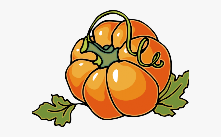 Pumpkin Vine Clipart - Autumn Clip Art, Transparent Clipart