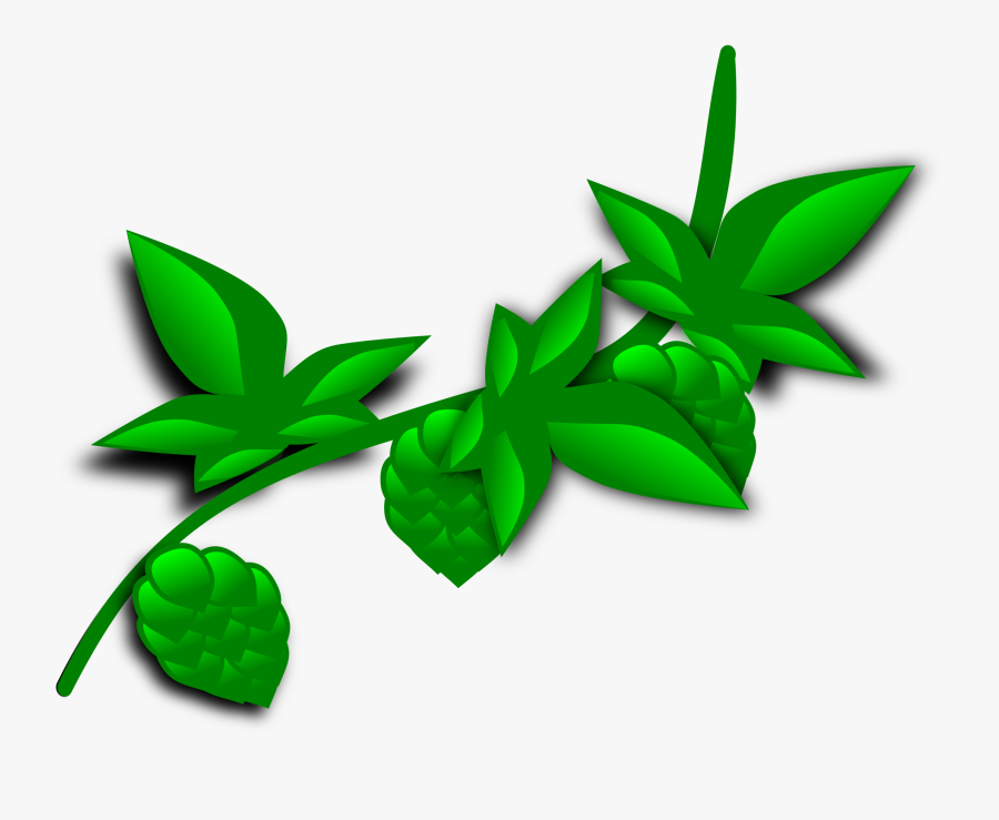 Vines Clipart Rainforest Vine - Plant Clip Art, Transparent Clipart
