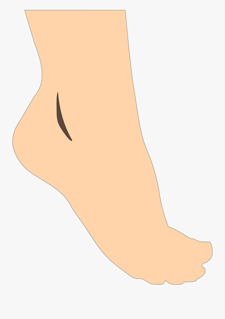 Feet Clipart Vector - เท้า Vector, Transparent Clipart