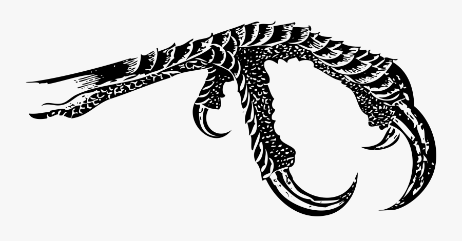 Bird Claw - Bird Claw Png, Transparent Clipart