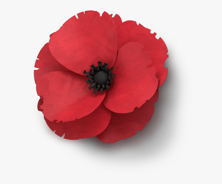 Poppy Flower Veterans Day Remembrance Poppy Png , Free Transparent