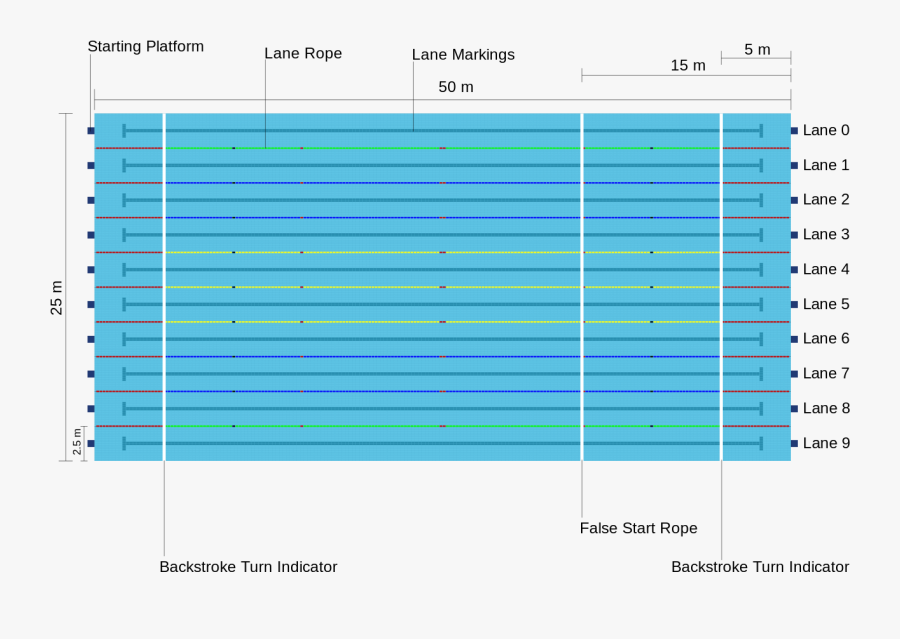 Olympic Swimming Pool Top View Olympic Swimming Pool - Olympic Swimming Pool Dimensions, Transparent Clipart