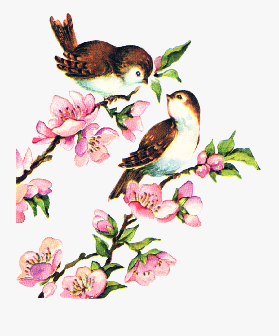Vintage Clip Art Pretty Bird On Branch The Graphics - Clip Art Bird Vintage, Transparent Clipart