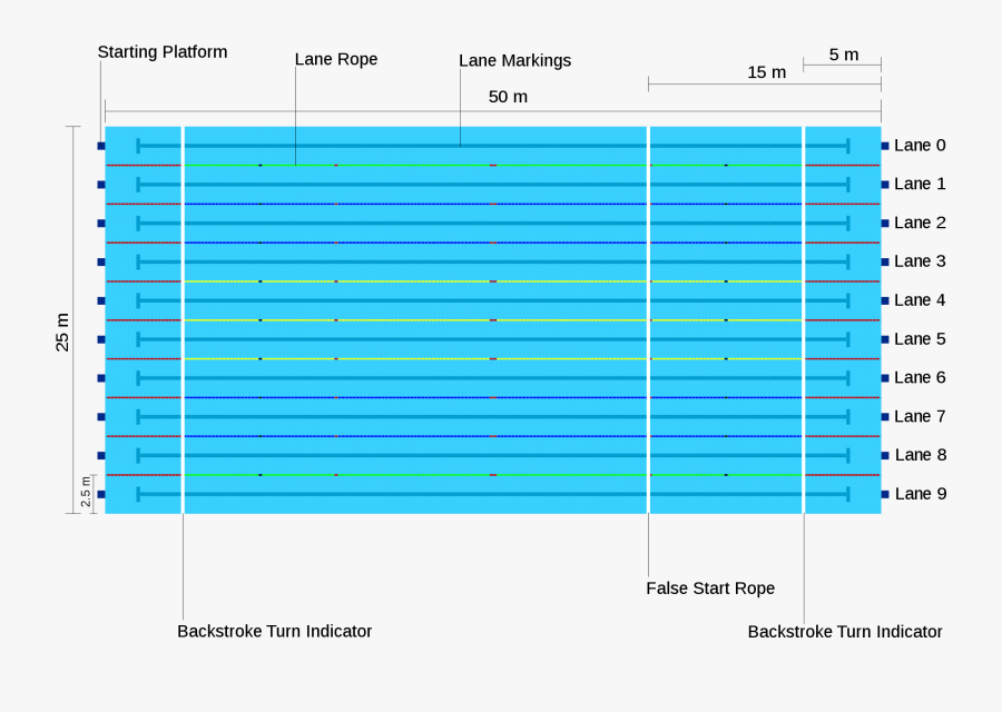 Bedroom Standard Length Entrancing - Olympic Swimming Pool Dimensions, Transparent Clipart