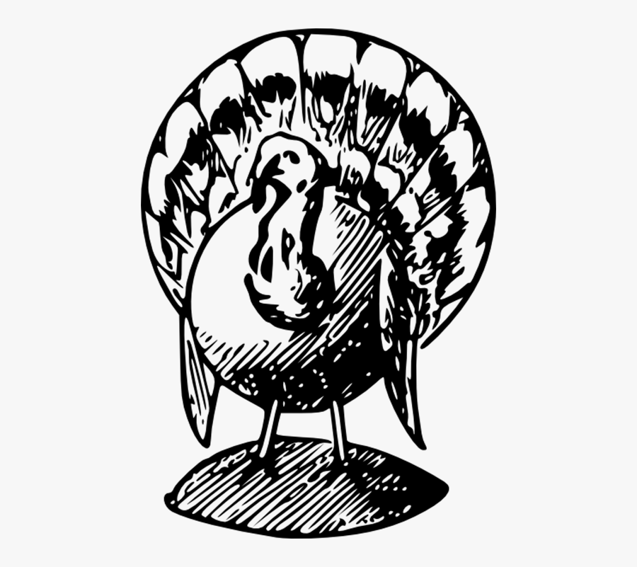 Black And White Turkeys Clip Art, Transparent Clipart