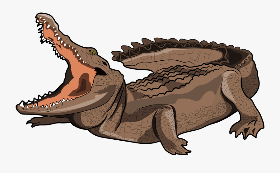 Nile Crocodile, Transparent Clipart