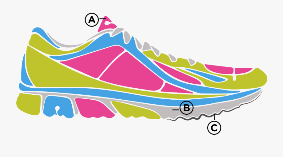 Anatomy Running Shoe Clipart , Png Download, Transparent Clipart