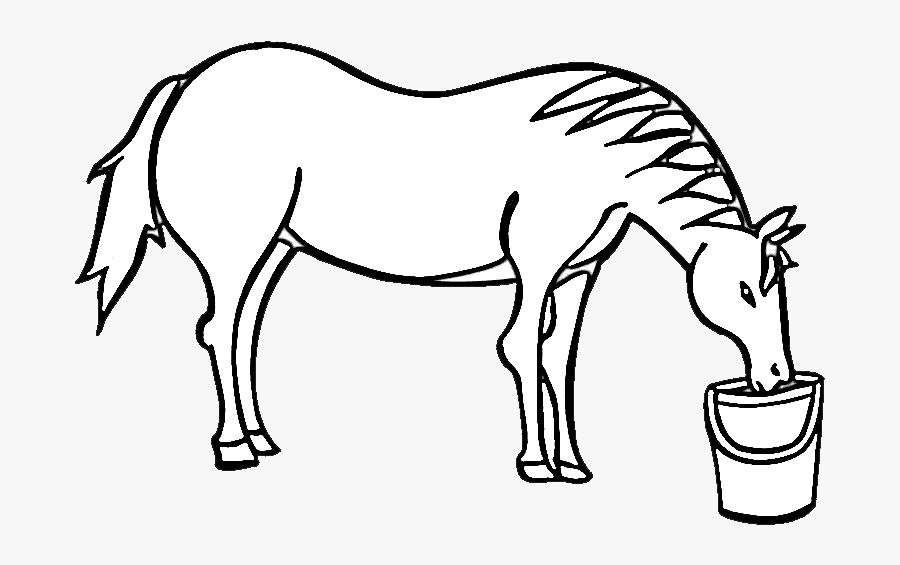 Transparent Drinking Water Clipart Horse Drinking Water Drawing