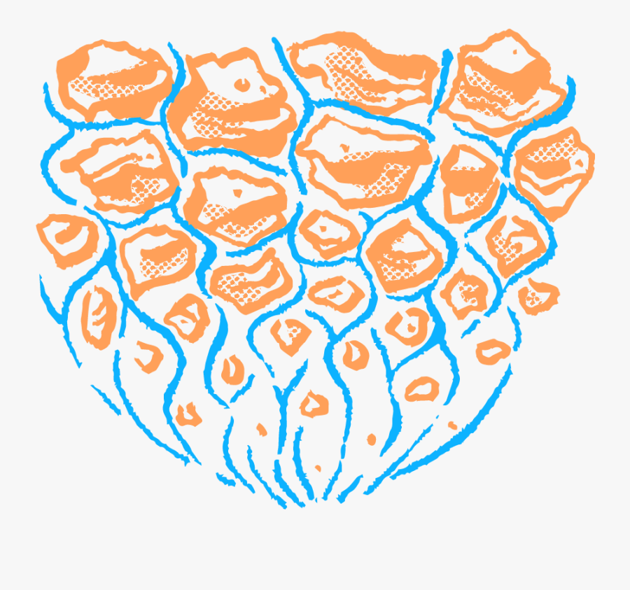 Illustration, Transparent Clipart