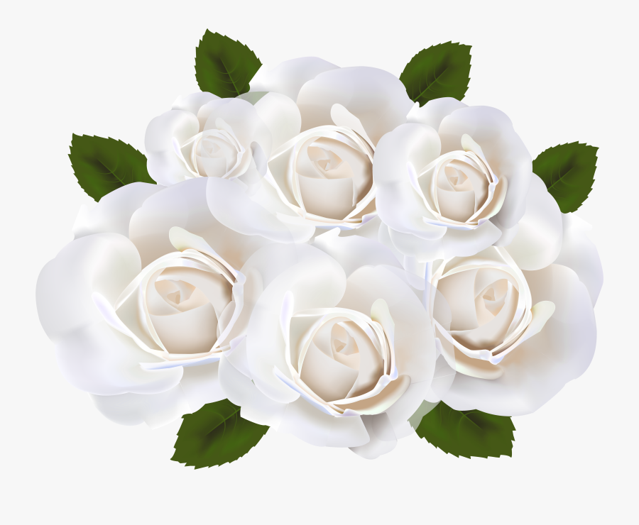 White Rose Flower Png, Transparent Clipart