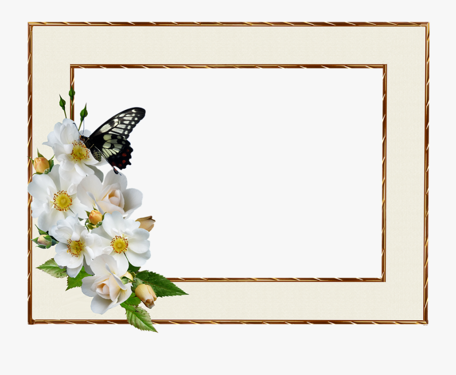 Frame, Border, White Rose, Butterfly, Decorative - Blessing Image Good Morning, Transparent Clipart