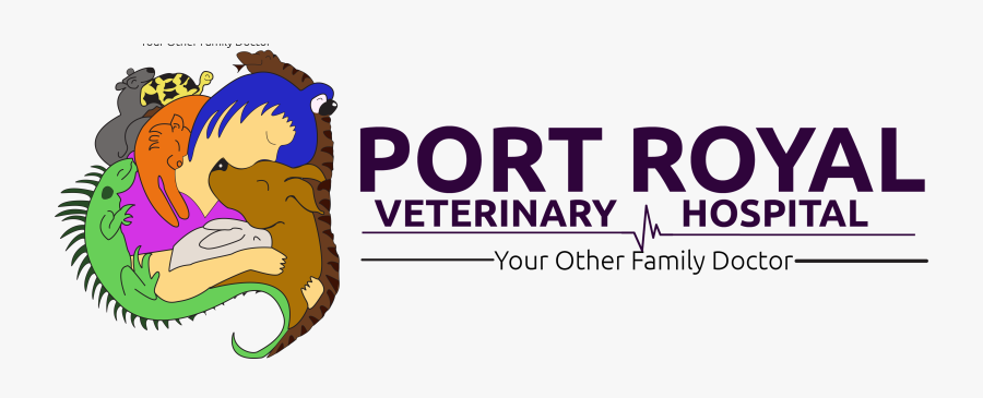 Veterinarian Clipart Vet Sign - Bobby Portis, Transparent Clipart