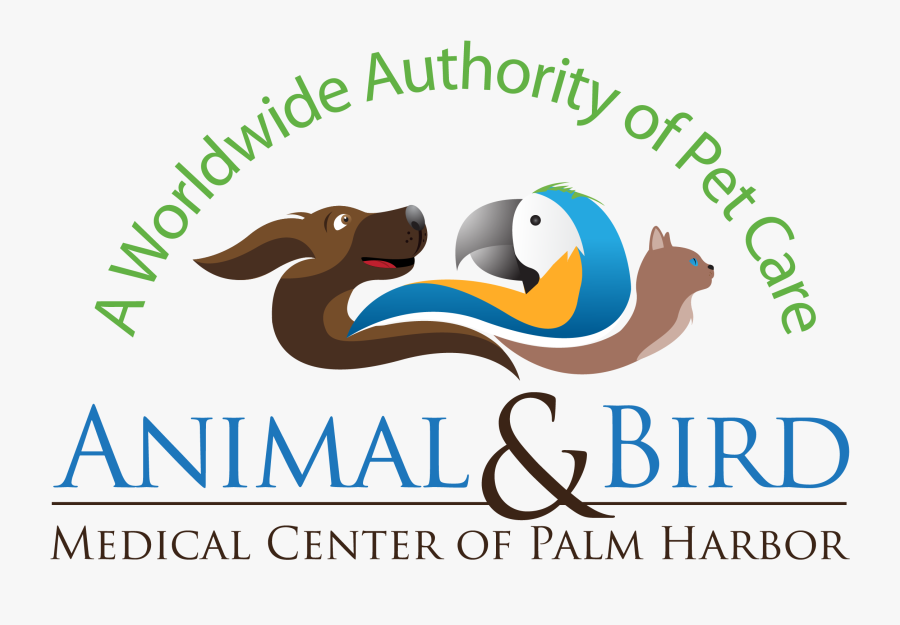 Animal Medical Services - Graphic Design, Transparent Clipart