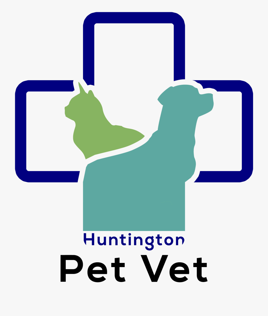 Veterinarian Clipart Checkup - Vetcare Png Download, Transparent Clipart