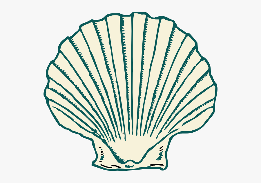 Clip Art Shell Png, Transparent Clipart