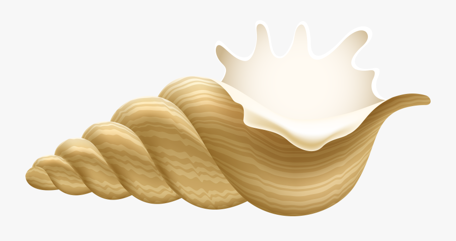 Conch Png Clip Art - Conch Clipart Png, Transparent Clipart
