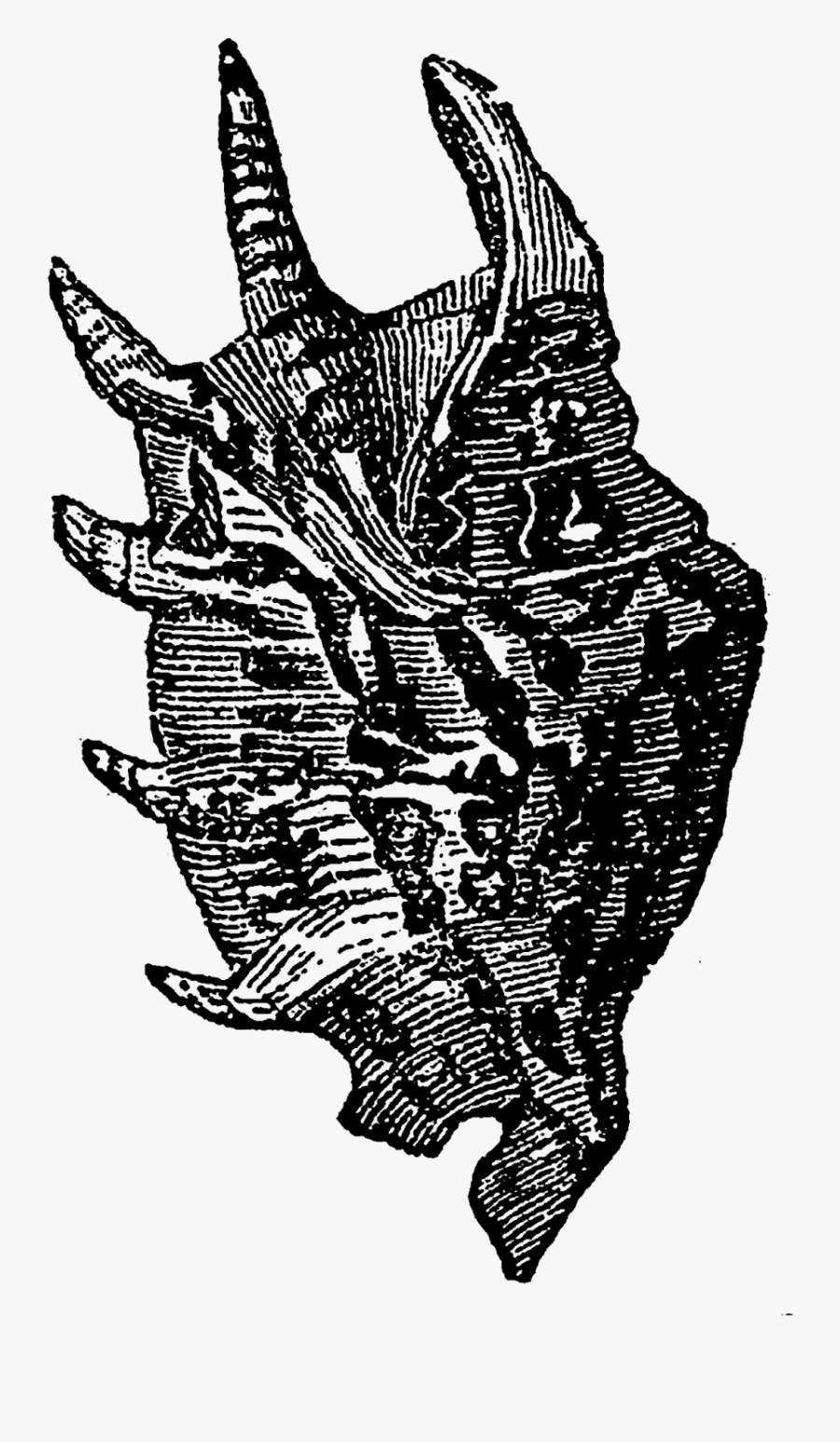 Illustration, Transparent Clipart