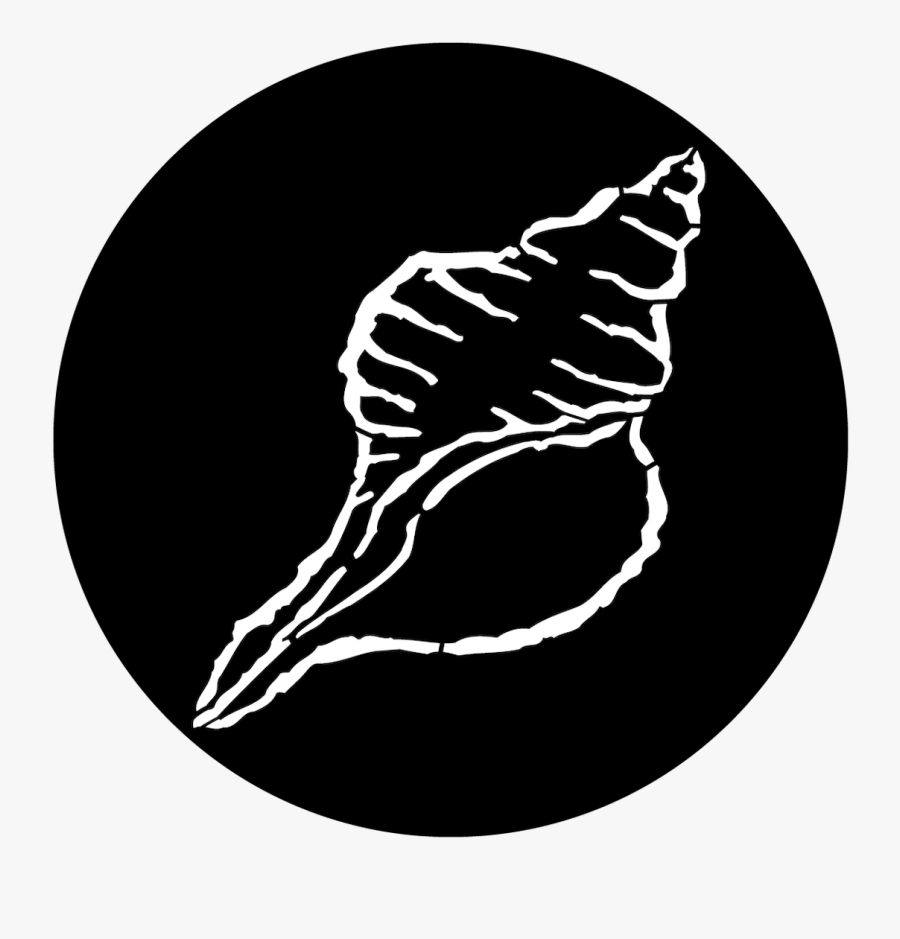 Apollo Sea Shell - Ville De Saint Etienne, Transparent Clipart