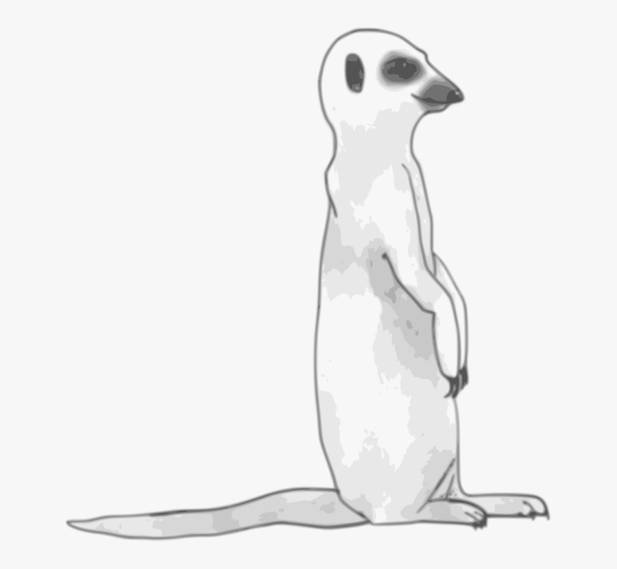 Flightless Bird,wildlife,line Art - Meerkat Black And White, Transparent Clipart