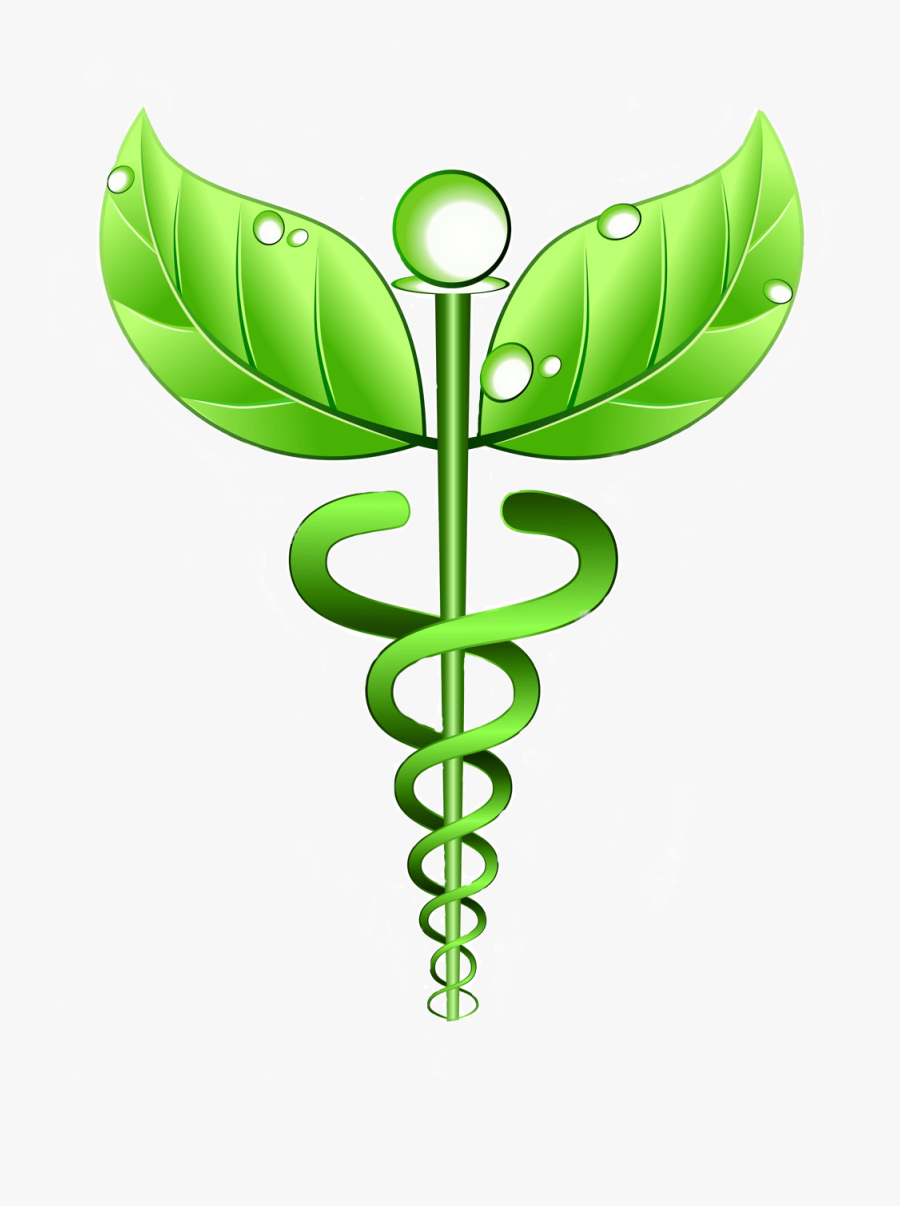 Verified Reviews, Ratings & Comparisons Of Naturopathic - Complementary And Alternative Medicine Logo, Transparent Clipart