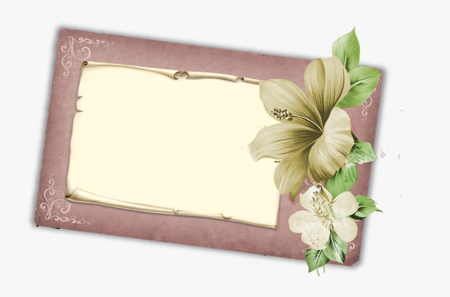 Antique Roses Clipart Illustrations Bundle 25 Hi Res - Hibiscus, Transparent Clipart