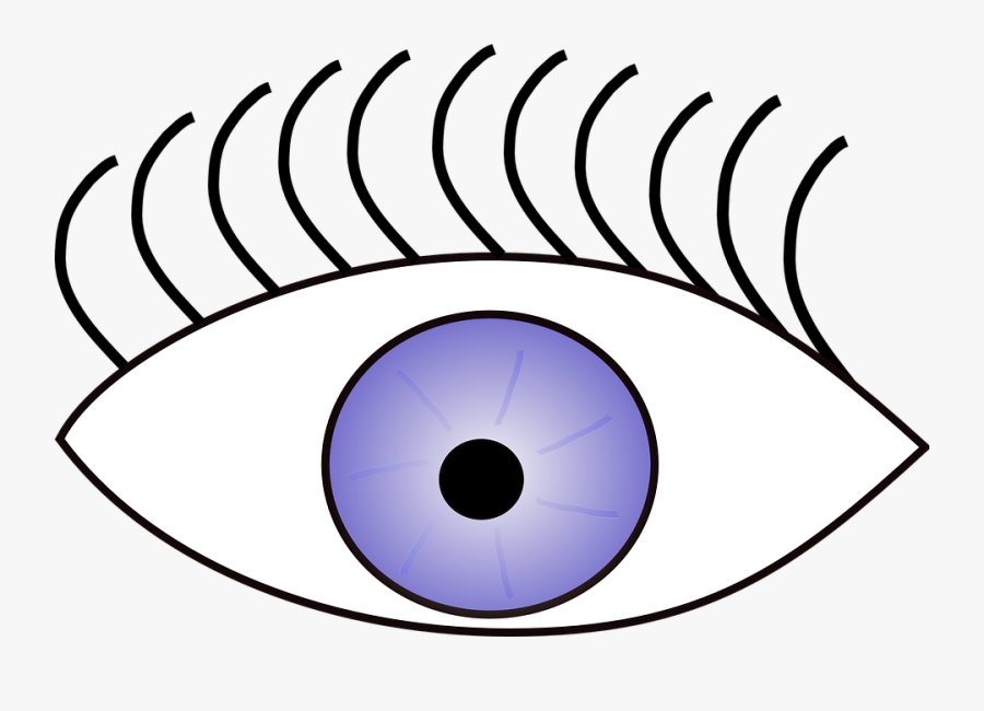 Clipart Of Vision, Eye The And Sense Sight View - Circle, Transparent Clipart