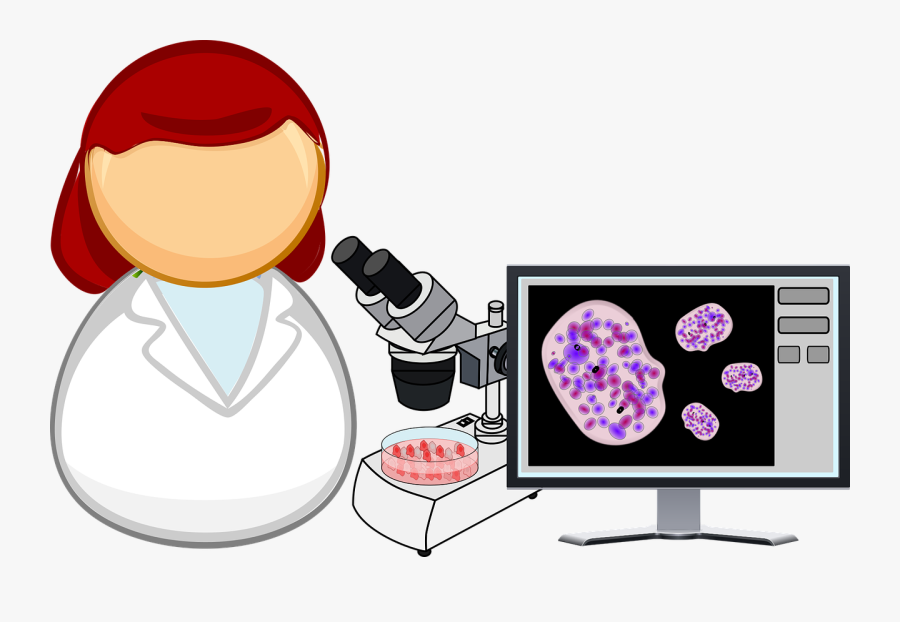 Illinois Science Assessment Galesburg - Cell Culture Clip Art, Transparent Clipart