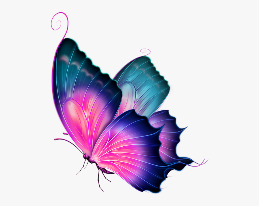 Transparent Butterfly Clipart Transparent Background - Transparent Images Of Butterfly, Transparent Clipart