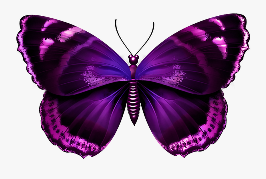 Download Clipart Png Photo - Purple And Pink Butterflies, Transparent Clipart