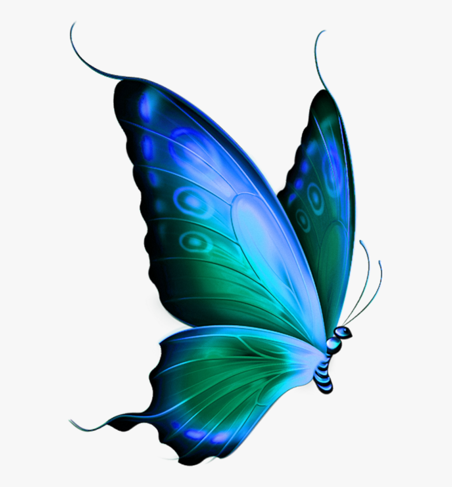 Mariposas Para Dibujar A Lapiz, Transparent Clipart