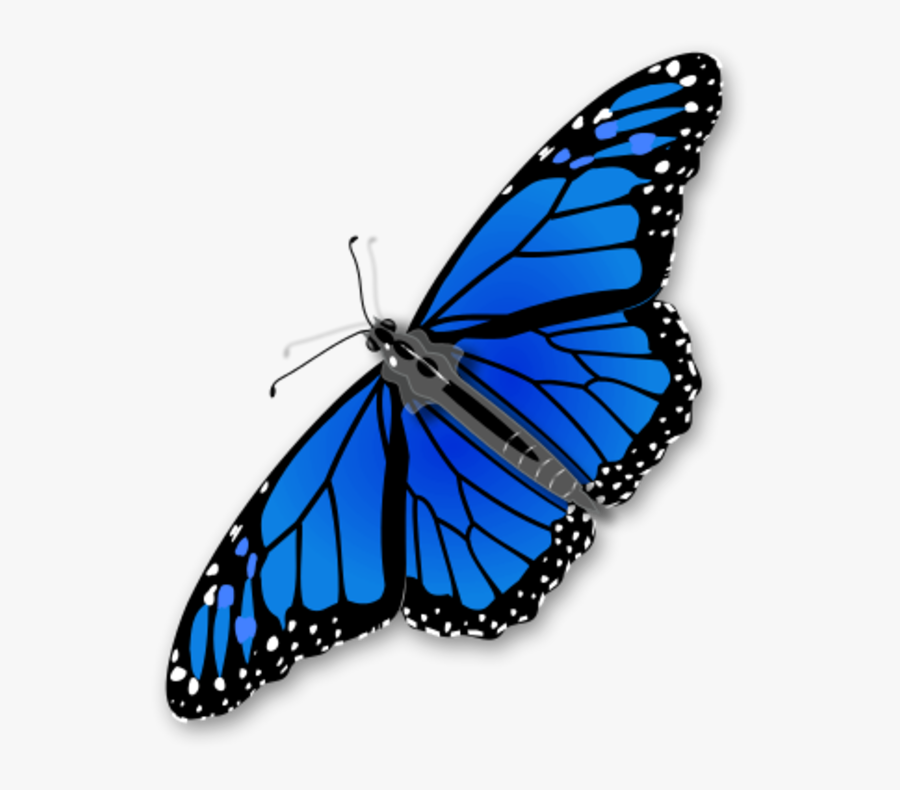 Large Monarch Butterfly 0 - Transparent Background Butterfly Gif, Transparent Clipart