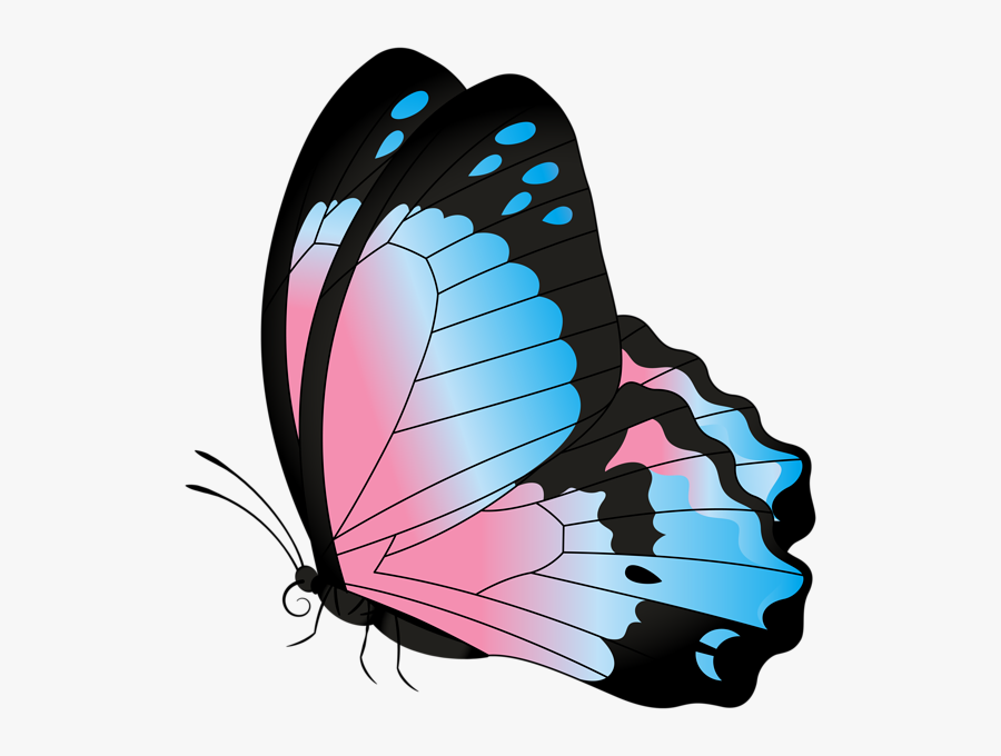 Butterfly Clipart Footed - Transparent Background Clipart Monarch Butterfly, Transparent Clipart