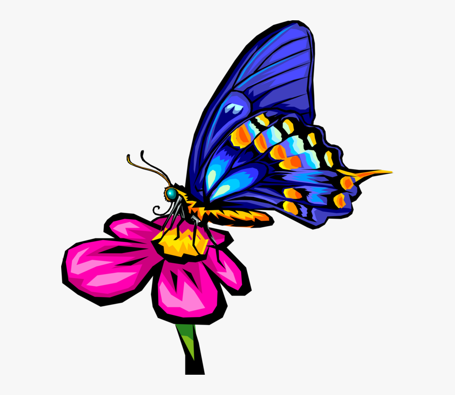 Vector Illustration Of Blue Butterfly Winged Insect - Butterfly On Flower Clipart, Transparent Clipart