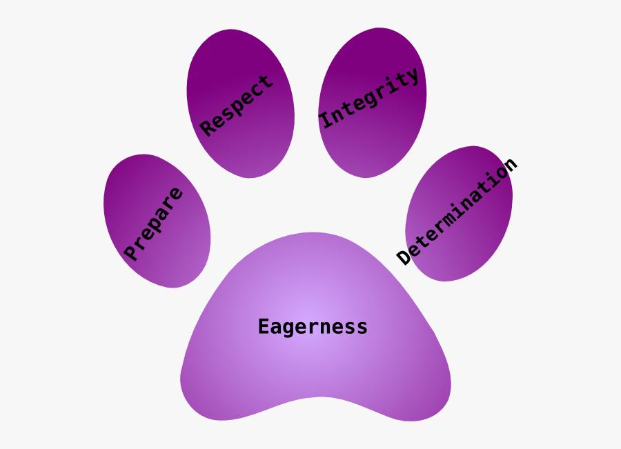 Circle, Transparent Clipart