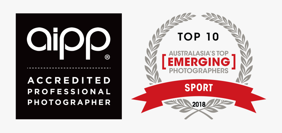 Paparazzi On The Run - Australasia's Top Emerging Photographer Top 10, Transparent Clipart