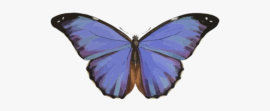 Free Morpho Menelaus - Model Butterfly, Transparent Clipart