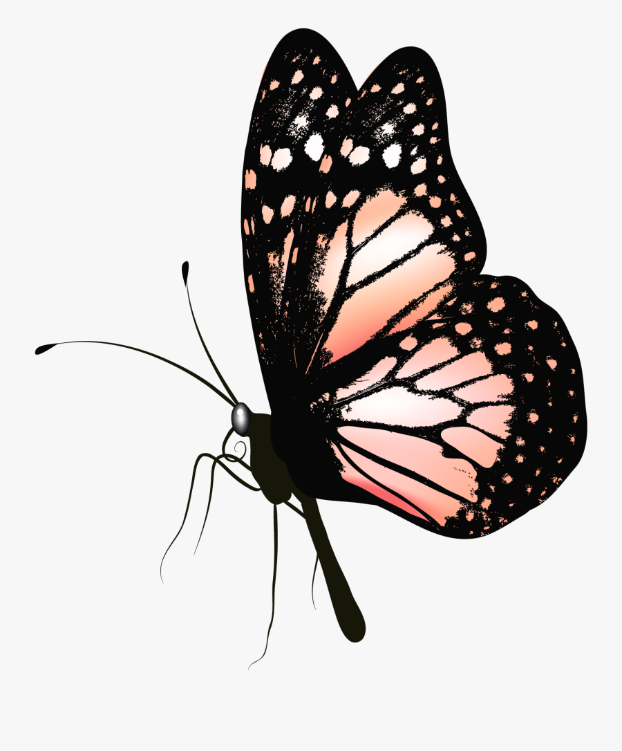 Transparent Blue Butterfly Clipart - Png File Butterfly Gif, Transparent Clipart