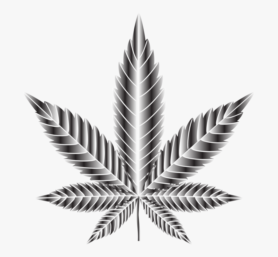 Plant,leaf,hemp Family - Cannabis, Transparent Clipart