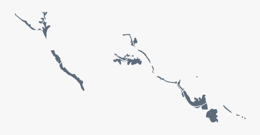 X - Bird - Illustration, Transparent Clipart