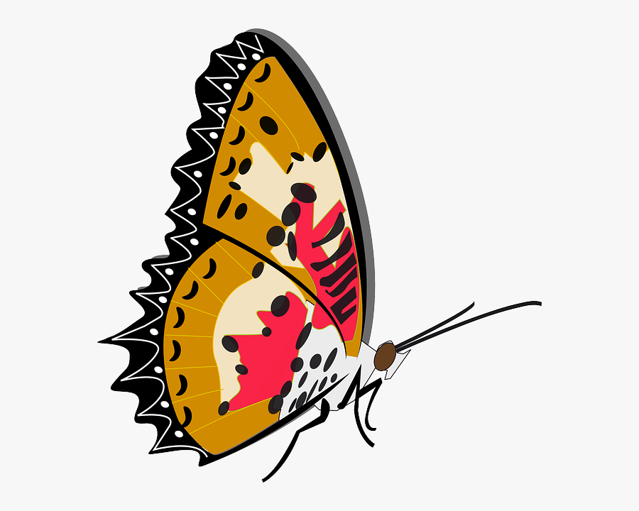 Butterfly, Insect, Animal - Mother And Baby Butterfly, Transparent Clipart