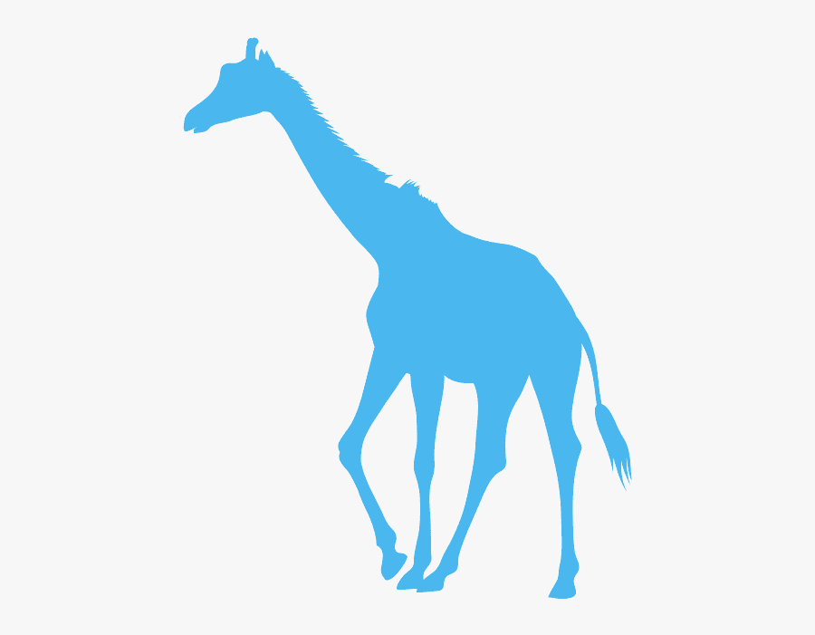 Giraffe, Transparent Clipart