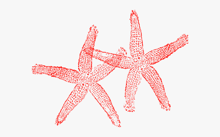 Starfish Clipart Red Starfish - Turquoise Starfish Clipart, Transparent Clipart