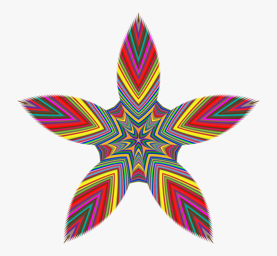 Leaf,symmetry,starfish, Transparent Clipart