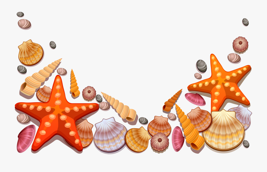 Clipart Shells Starfish - Sea Shells Vector Png, Transparent Clipart